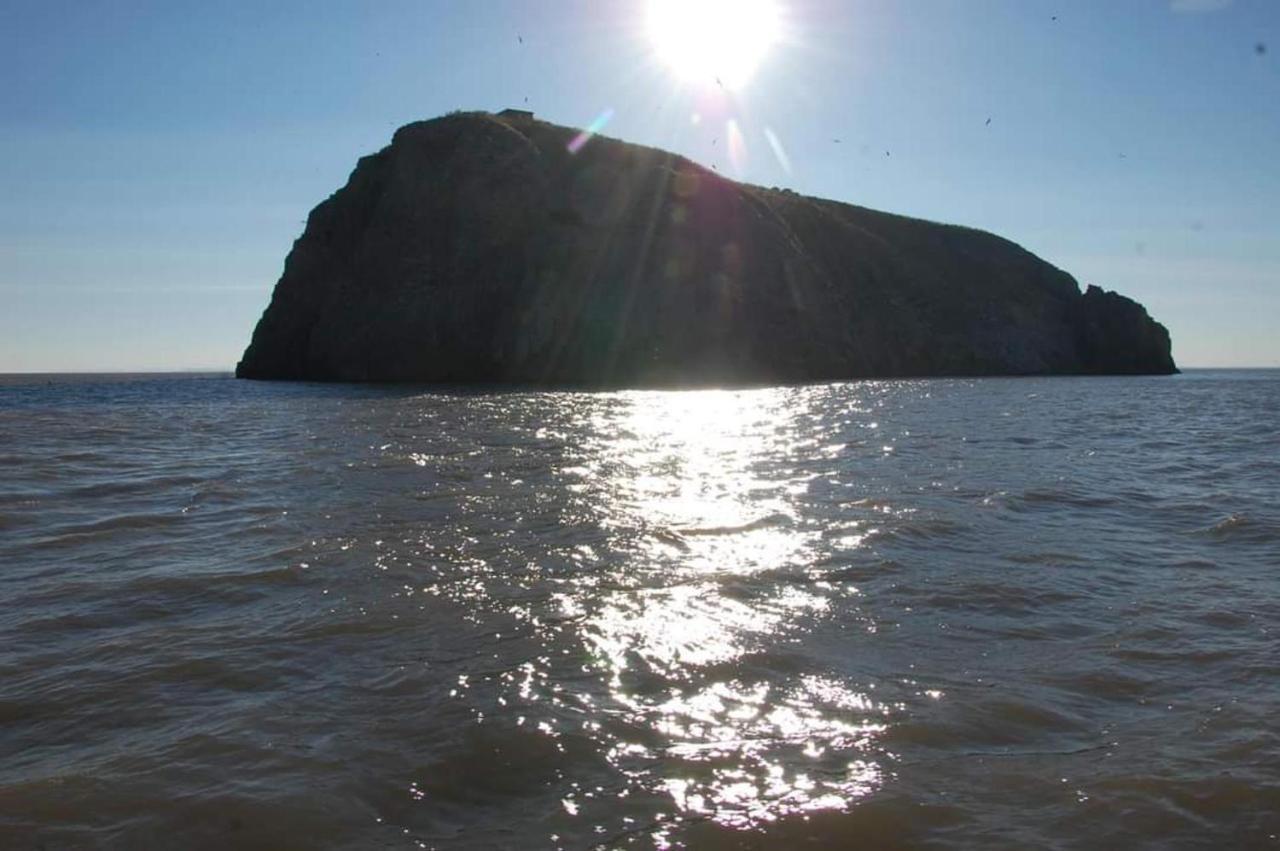 95 Holiday Resort Unity 3 Bed Passes Included Brean Exteriér fotografie